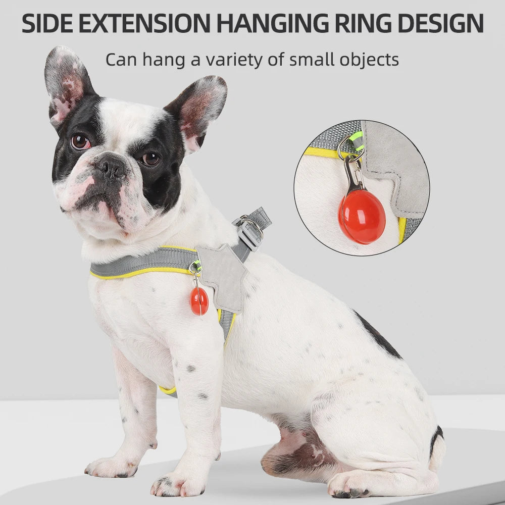 Reflective No-Pull Dog Harness for Small & Medium Dogs