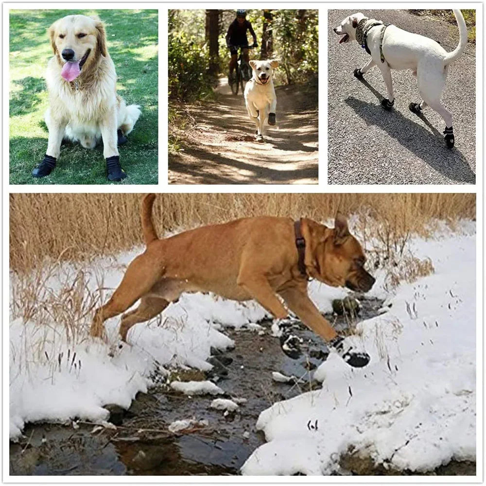 Waterproof Dog Shoes – Anti-Slip Boots for Hot Pavement & Snow