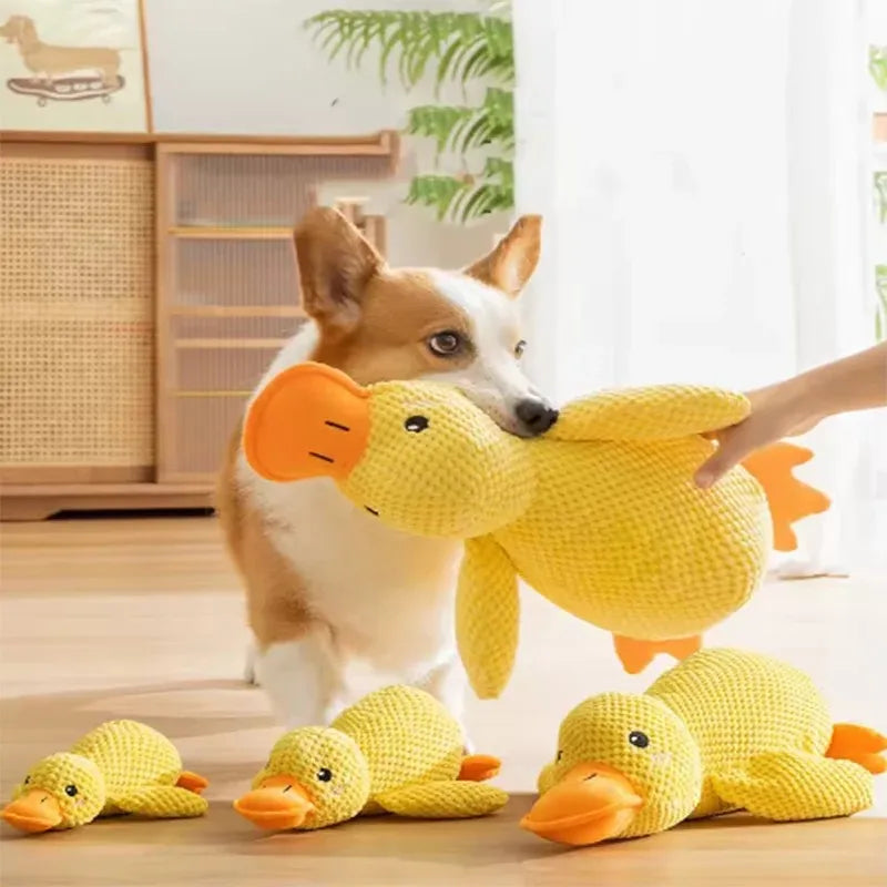Cute Duck Plush Dog Toy for Cuddles & Play