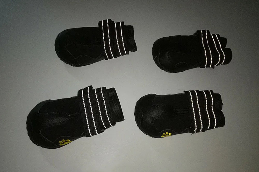 Waterproof Dog Shoes – Anti-Slip Boots for Hot Pavement & Snow