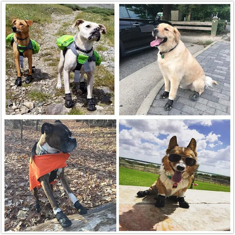 Waterproof Dog Shoes – Anti-Slip Boots for Hot Pavement & Snow