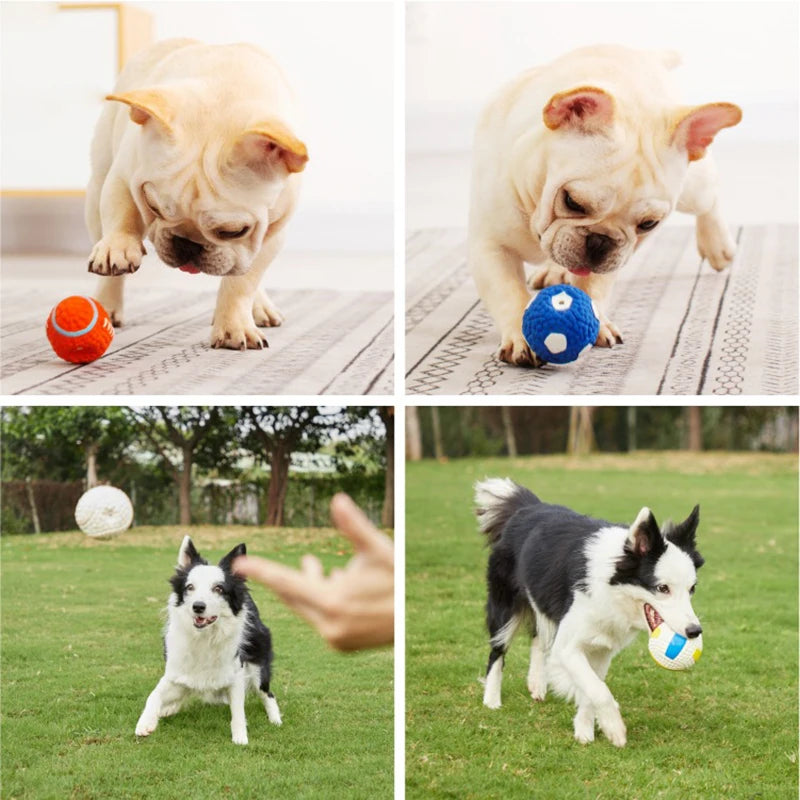 Squeaky Dog Ball Toy – Soft Latex Ball for Chewing & Play